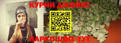 гидра Камень-на-Оби