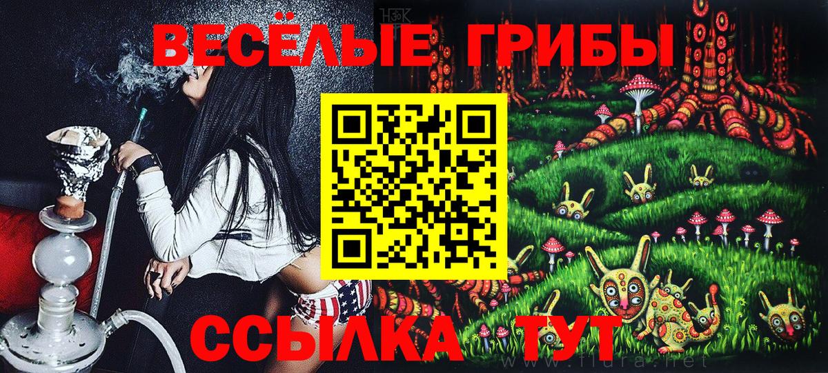Псилоцибиновые грибы MAGIC MUSHROOMS Кинель
