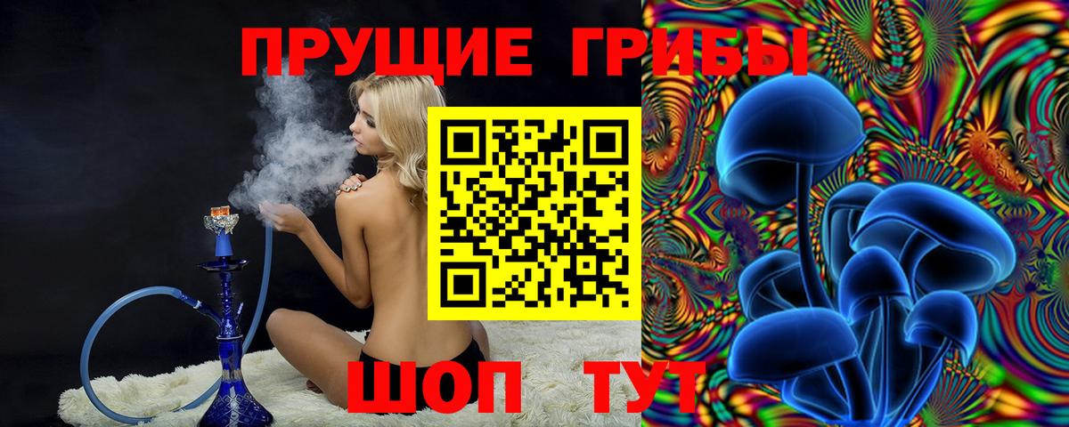 купить наркоту  Галлюциногенные грибы ЛСД  Кинель  Вход с VPN  Псилоцибиновые грибы GOLDEN TEACHER 